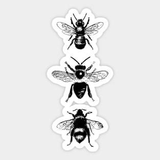 Bees Sticker